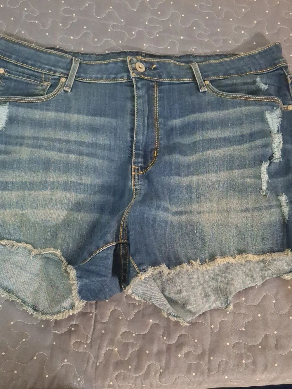 Signature by Levi Strauss Women’s Distressed Denim Shorts in Blue size 18